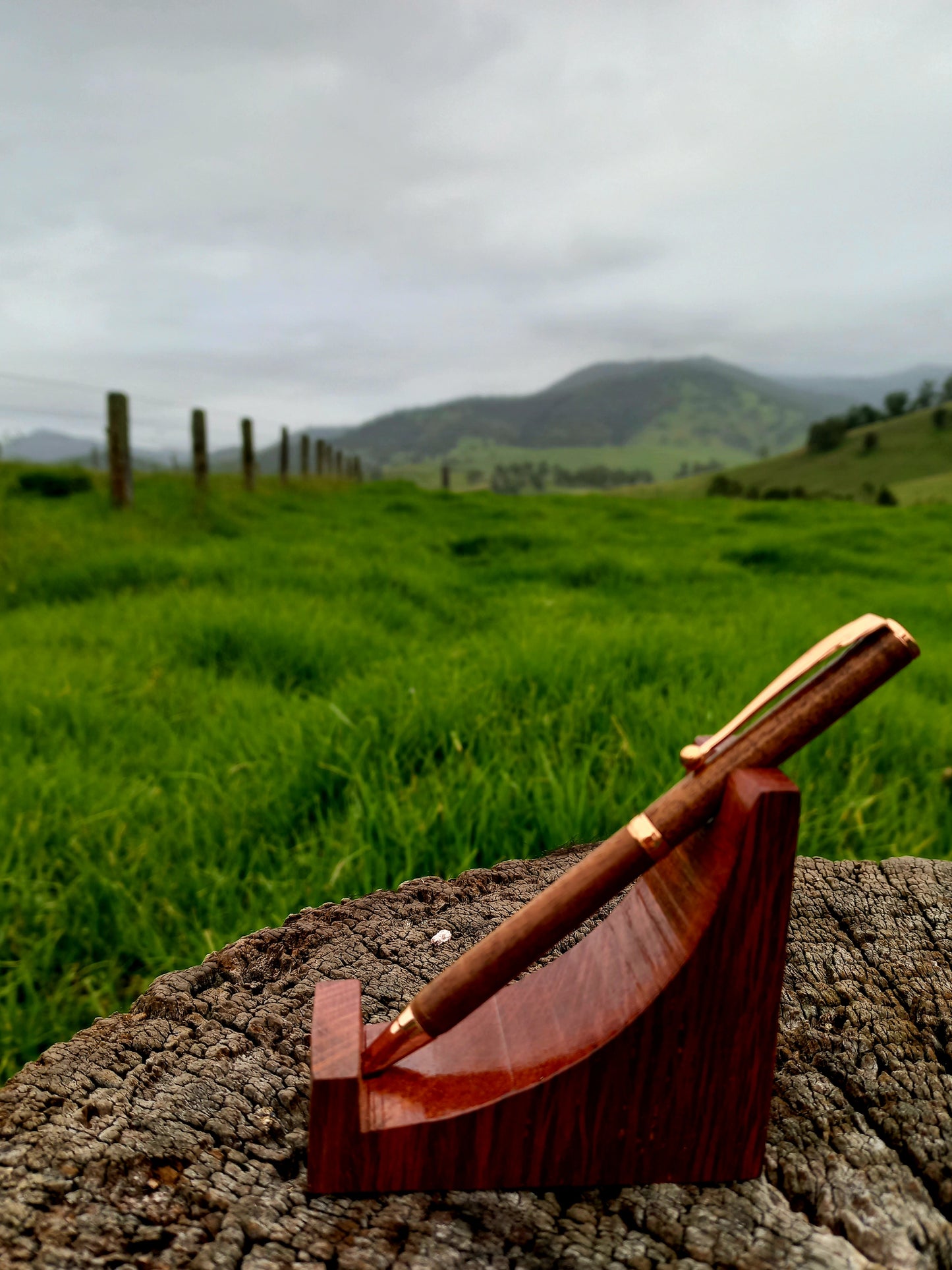 Pen Holder Recliner