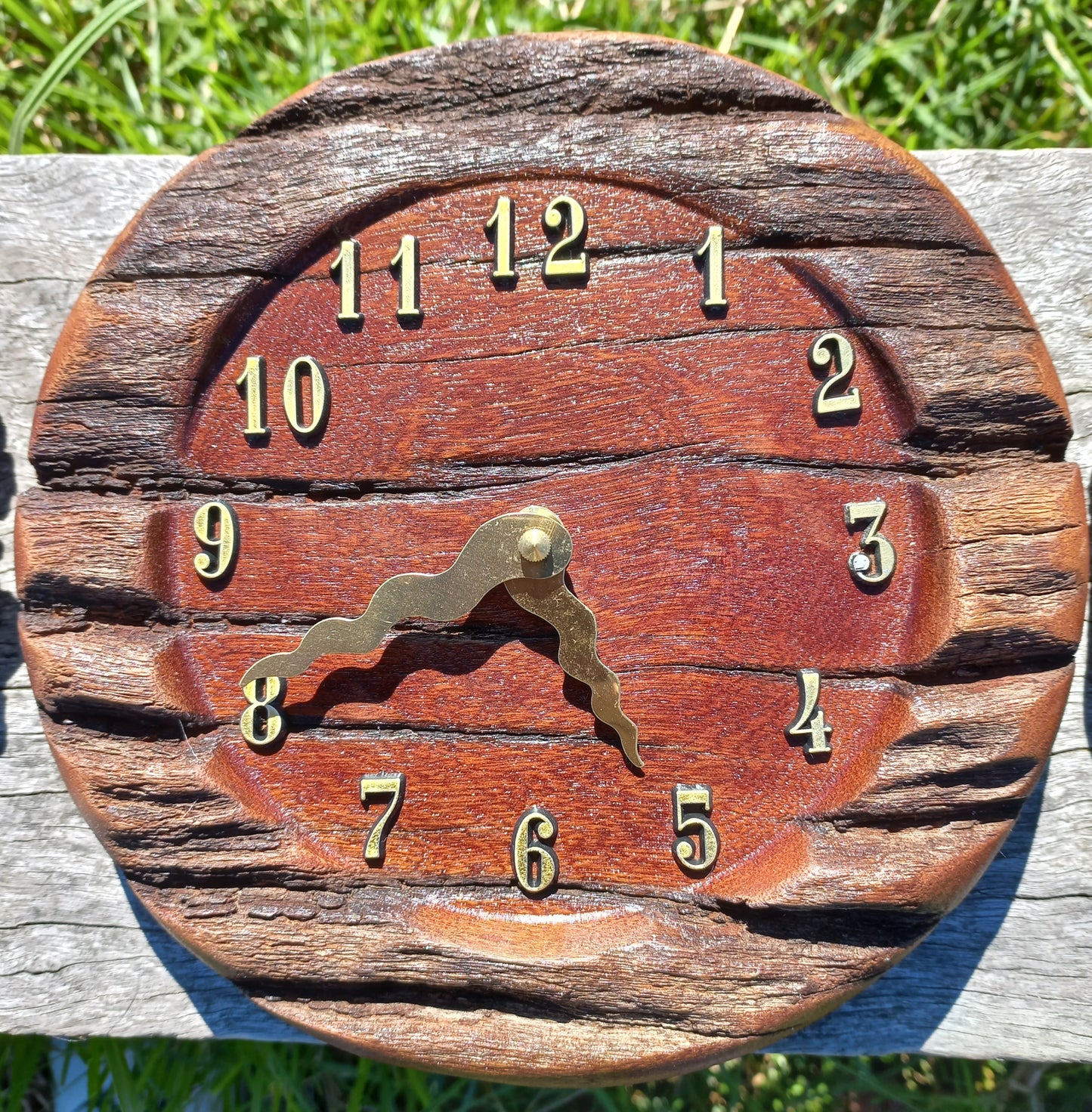 Clock Saltbush